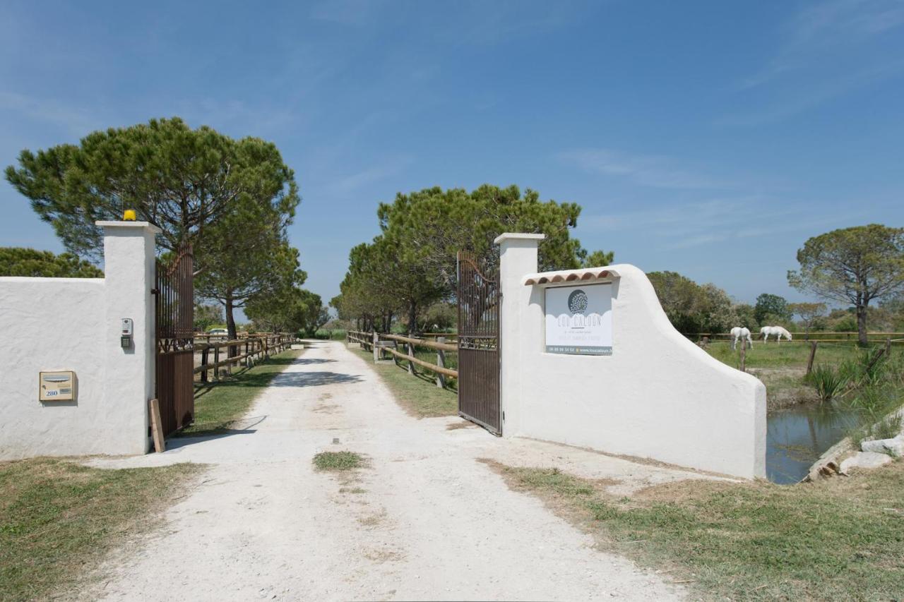 Frühstückspension Mas Lou Caloun - D'hote Face A La Piscine En Camargue - Les Maries De La Saintes-Maries-de-La-Mer