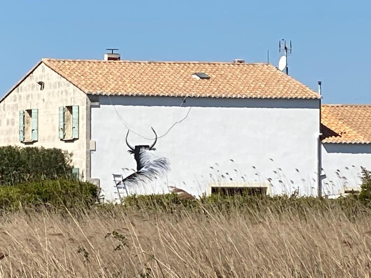 Mas Lou Caloun - D'hote Face A La Piscine En Camargue - Les Maries De La Frühstückspension