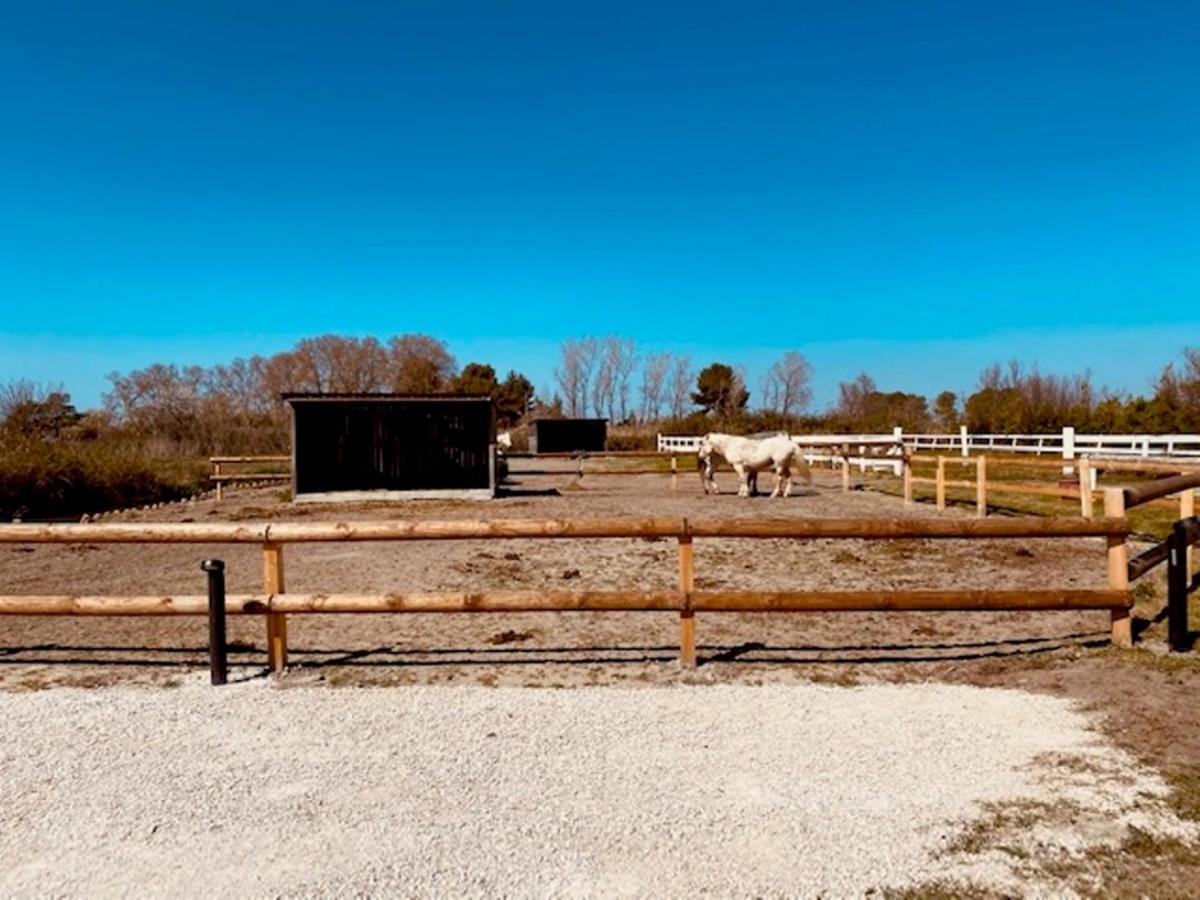 Mas Lou Caloun - D'hote Face A La Piscine En Camargue - Les Maries De La Bed & Breakfast *